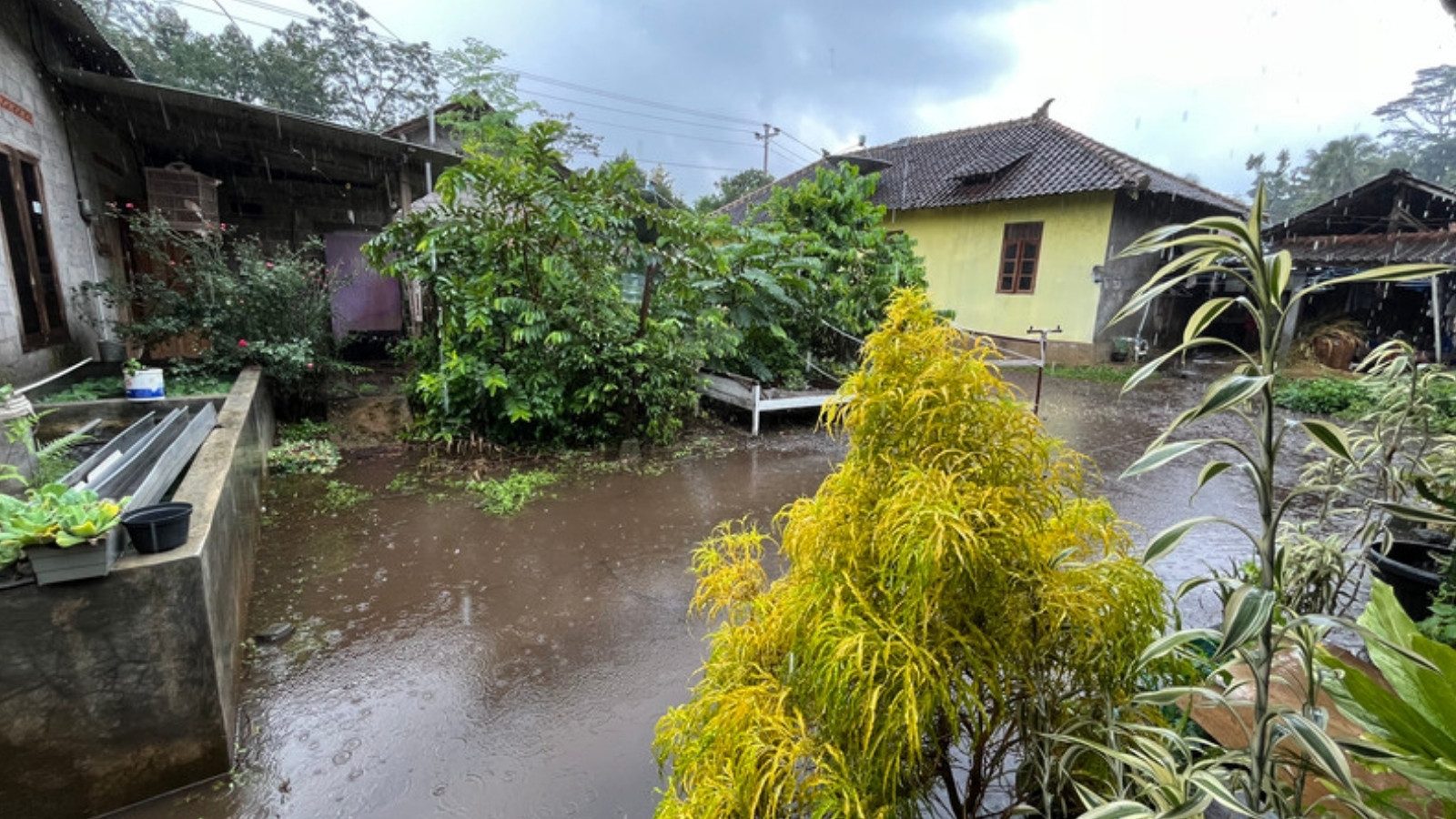 A flooded yard after heavy rain